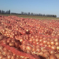 Німецького депутата засуджено за вирощення цибулі