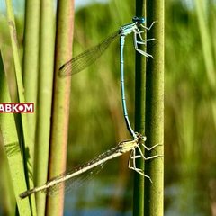 Погода на 21 серпня в Україні