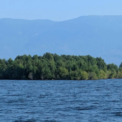 Плавучий остров в водохранилище