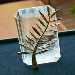 Результаты Канн-2015: победители кинофестиваля