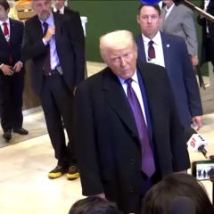 Трамп и Зеленский обсуждают будущие контакты