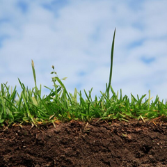 Гектари в Україні: ціни стрімко піднялись