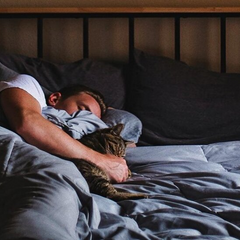 Диета для бессонницы: продукты для энергии и сна