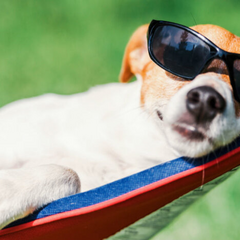 Правила надання відпусток у 40 днів