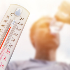 Хвиля спеки обрушиться на Україну