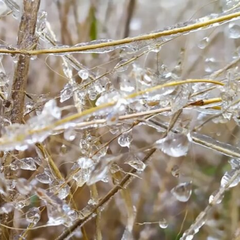 Потепління з снігом та дощем