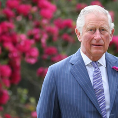 Король Чарльз III у хорошому стані