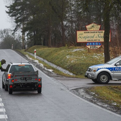 Український водій перевіряє штрафи і бали