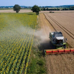 Україна готується до скринінгу з євроінтеграції у сфері АПК