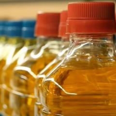 Ашан, Метро та Варус - нові ціни на олію, сіль та цукор