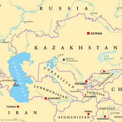 Російські структури м'якої сили в Центральній Азії