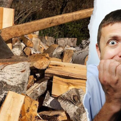 Ціна дров у опалювальний сезон