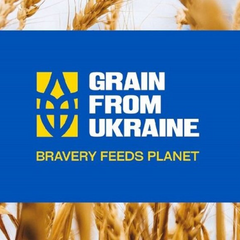 Африка, Ближний Восток: отправлено 280 т пшеницы