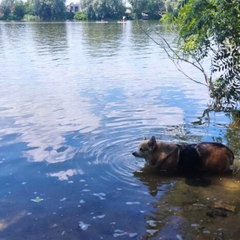 На картинке изображены облака и гроза
