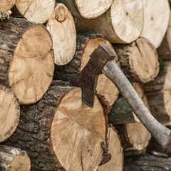 Пенсионер без света срубил дерево