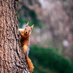 Диденко с прогнозом погоды