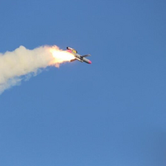 Photo of the Flamingo missile and FP-1 drones