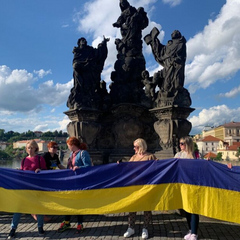 Ссылка на военные боеприпасы для Украины