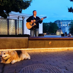 Прогноз погоди на Київщині