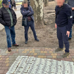 Задержание уклонистов на границе