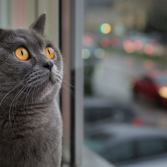 Морози та ожеледиця наближаються до України