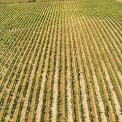 Оформление земли в наследство: понятие и процедуры