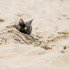 Прогноз погоди на Київщині