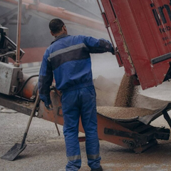 Українські аграрії шукають нові ринки