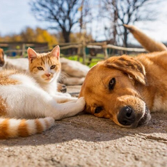 Опади та заморозки: погода України