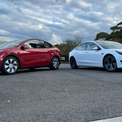 Найпопулярніші авто в Україні