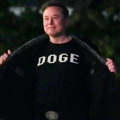 Суди США вивчають статус DOGE Ілона Маска