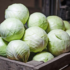 Капуста на українському ринку овочів