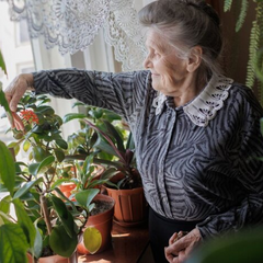 Курс робочого чи страхового стажу