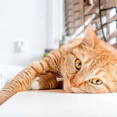 Синоптик Діденко попереджає про дощ