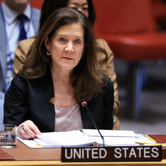 America limited actions for the sake of alliance