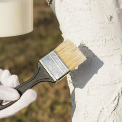 Фотографія пам'ятника Леніну у місті Львові