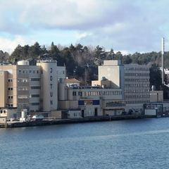 Виробник фарб «Jotun» розтріскує прапор Росії