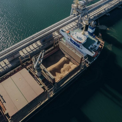 Зерно від України для програми