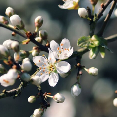Активный циклон над Украиной. Резкое похолодание и снег