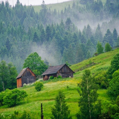 Град с яйцом и бананы в Украине
