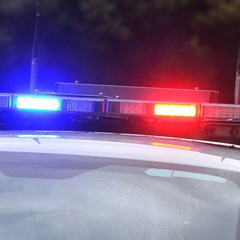 Статистика смертности водителей в 2024 году