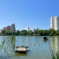 Тепла погода без дощів до +26