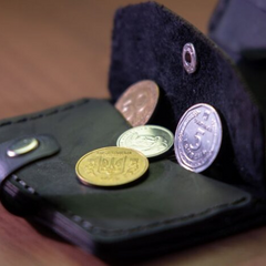 Новая монета из обращения в Украине