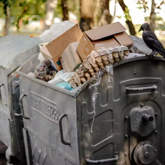 Сміттєві приписки: схеми виведення грошей