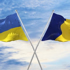 Напрямок військових миротворців через Румунію український веселковий барвистий