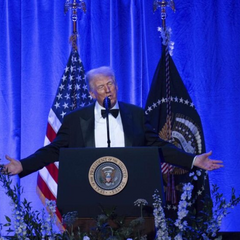 Трамп в стратегічних обмовинах з Путіним