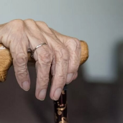 Виплати у серпні: ПФУ уточнив, чи отримають українці пенсії, субсидії та лікарняні