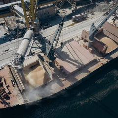 Вантажі перевезені морським коридором