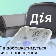 Снимок экрана с сайта 'Дія'