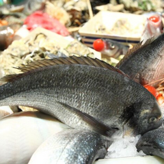 Вредная рыба в супермаркетах: избегайте покупки